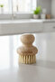 Kitchen 100% Natural-Vegan Cactus Herb Fruit & Vegetable Food Cleaning Brush - 4