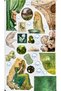 Vintage Green Fairy Tale Sticker Set |   Aesthetic Nature & Art Themed Stickers (22X30 cm) - 2