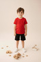 100% Cotton Men's T-Shirt and 100% Cotton Shorts Bermuda Two-In-One Set - 2
