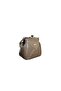 Stylish Bag with a Wonderful Clip Vison