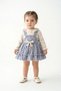 Baby Girl Dress Girls' Dress with Ribbon Birthday Party Wedding Special Occasion Holiday Dress