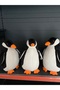 PENGUEN - 4
