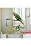 (19X10Cm) Natural Wooden Cage Top Parrot Bird Perch t Perch