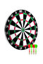 Dart Board for Home and Playgrounds 12 Inch Includes 4 Dart Arrows - 3
