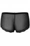 Gob Everyday Plus Size High Waist Boyshort - Everyday Comfort - 2