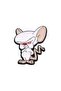 بروش بينكي و برين