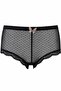 Gob Everyday Plus Size High Waist Boyshort - Everyday Comfort