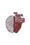 Heart and mind brooch, two pieces - 2