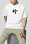 Linkin Park Hybrid Theory t Shirt |   Chester Bennington Unisex 100% Cotton Oversize Design Series Tee - 5