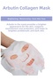 Whitening, Moisturizing and Purifying Arbutin Collagen Mask 23Gr3 Pieces - 3