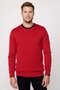 Men's Slim Fit Slim Fit Crew Neck Honeycomb Pattern Red Knitwear Sweater - 2