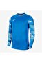 M Nk Df Park Iv Jsy Ls Gk Men's Goalkeeper Jersey