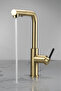 Momi Brushed Gold Pull-Out Spiral/Movable Head Kitchen Faucet - 6