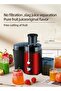 Juicer Extractor, High-Powered Motor, Stainless Steel Design, Large 1.7L Pulp Container, 1.1L Juice