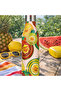 Heat Insulated Steel Thermos 500ml Chupa Fruit - 3