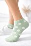 Economical Pack of 5 Daisy Patterned Women's Short Booties Socks Set - 2