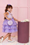 Girl's Tulle Dress - 3