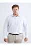 Regular Fit Long Sleeve Poplin Men's Shirt - 2
