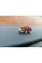 Miniature Cute Hedgehog Dashboard Ornament Rearview Mirror Ornament - 3
