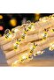 2Meter 20LED Warm White 1Pack Bee Fairy Lights Battery Operated Bee String Lights For Bedroom Plants