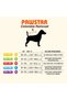 Red Colombia Prime Dog Raincoat for Medium and Large Breeds Dog Clothing Waterproof Rain - 6