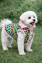 Leopard Patterned Pink Plush Dog Vest - Dog Clothing - 2