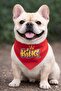 Mix Köpek Scarf Cat Scarf (2-15 kg)