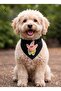 Mix Köpek Scarf Cat Scarf (2-15 kg) - 2