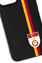 iPhone 14 Pro Compatible Parted Stripe Flag Emblem Black Silicone Licensed Phone Case - 2