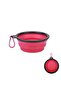 Foldable Cat and Dog Food and Water Bowl Dog Toy - Maavi (Gs) - 5