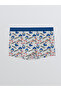 Esvab • Modern & Distinctive Blue Quick Hedgehog Boys' Boxer - 2