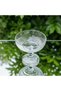 Glass Footed Ice Cream Bowl & Dessert Bowl 17 cm |   Gilded / Plain Presentation Bowl |   Magnolia Kup, Meyvelik - 2