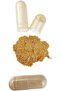 MACA (10:1) Extract 500mg - 120 veg caps - 4