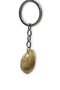 Sea Shell Keychain Cowrie Shell 310 - 5