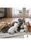 Lilleplutt Cute Plush Cat - Soft Sleeping Companion for Children - 2