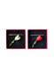Set 2 brose martisor Lalea