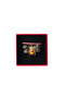 Set 2 brose martisor Insecte - 3
