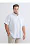 Regular Fit Short Sleeve Dobby Men's Textured Shirt - 2