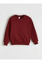 Giyçık Store Den Mixed Crew Neck Boys' Sweatshirt 2-Pack - 2