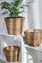 Natural Nordic 3-Piece Flower Pot and Organizer Set with Bag Inside