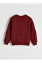 Giyçık Store Den Mixed Crew Neck Boys' Sweatshirt 2-Pack - 3