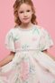 Girl's Pink Schiffli A-Line Dress with Crew Neck and Puff Sleeves - 5