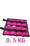 0.5 kg X 2 Pieces Total 1 kg Hand Foot and Wrist Weight Sandbag
