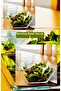 3 PCS SQUARE BOWL SERVICE BOWL LARGE SIZE BOWL SALAD SERVICE MIXING BOWL 24 CM X24 CM.3 pieces - 2