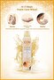 Icon Skin Care Foam Strawberry-Cheesecake&Blueberry-Milkshake&Vanilla Creme-Brulee Set - 3