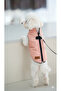 Cat - Dog Winter Inflatable Vest - Coat - Raincoat - 3