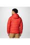 DELTA RIDGE II DOWN HOODED JACKET - 2