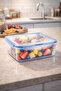 Locking Storage Container 4.4 Liter – Transparent Food Storage Container with Air-Tight Seal, Bpa Free