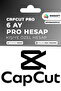 Pro 6 Aylık Kişisel Hesap Mobil/Web/Pc