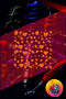 Multi Heart Sticker25X25Cm Foil Cut Universal Pattern Coating Car-Motorcycle-Helmet-Laptop Hologram